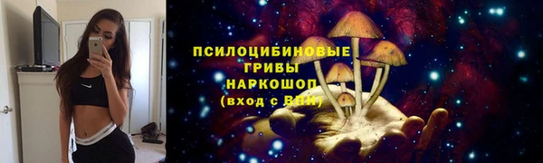 кокс Белокуриха