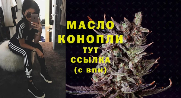 ECSTASY Богородицк