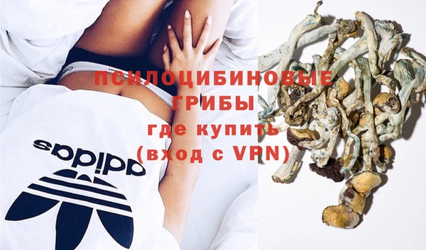 шишки Беломорск