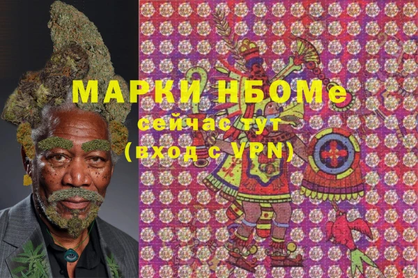 шишки Беломорск