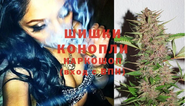 шишки Беломорск