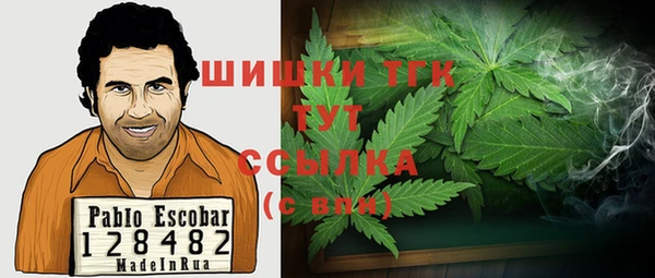 кокс Белокуриха