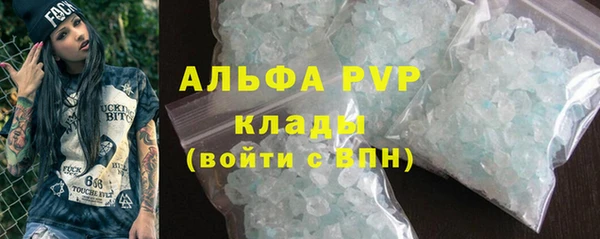 шишки Беломорск
